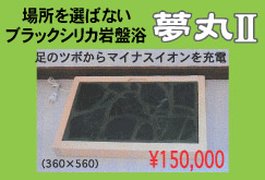 場所を選ばないブラックシリカ岩盤浴「夢丸II」足のツボからマイナスイオンを充電(360×560)