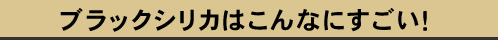 ブラックシリカはこんなにすごい！